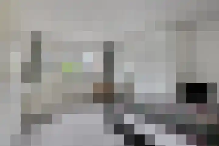 Wallsteijndreef 9 Helmond thumbnail 17
