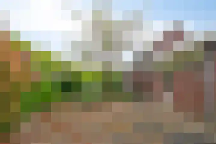 Wallsteijndreef 9 Helmond thumbnail 27