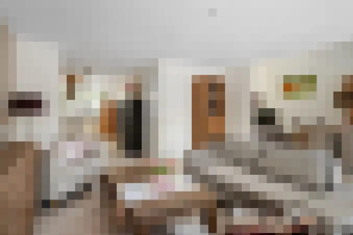 Wallsteijnpad 10 Spijkenisse thumbnail 10