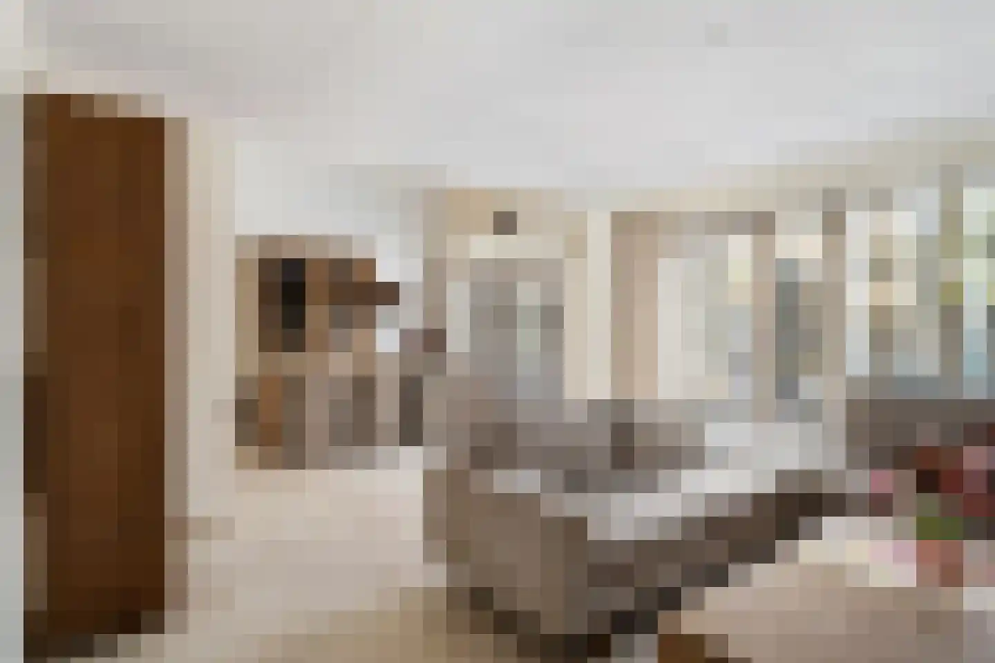 Wallsteijnpad 10 Spijkenisse thumbnail 11
