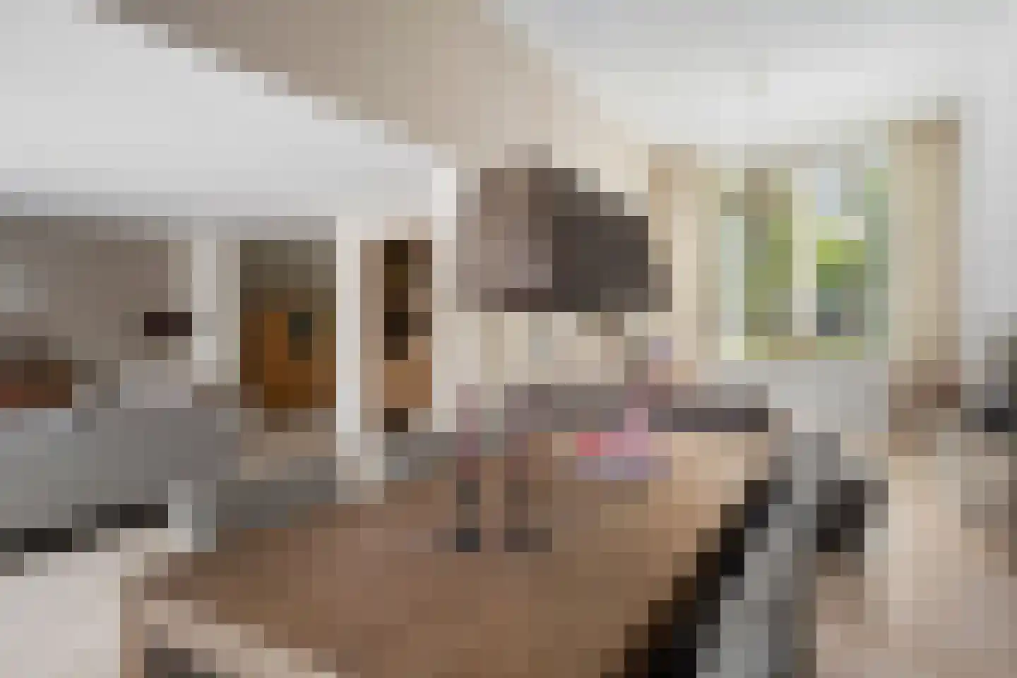 Wallsteijnpad 10 Spijkenisse thumbnail 13