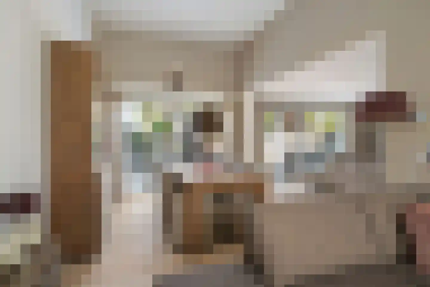 Wallsteijnpad 10 Spijkenisse thumbnail 16