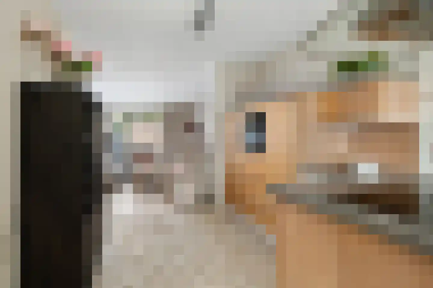 Wallsteijnpad 10 Spijkenisse thumbnail 17