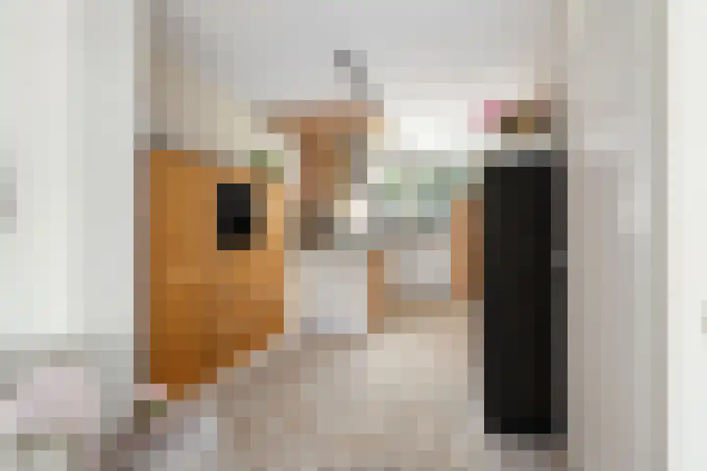 Wallsteijnpad 10 Spijkenisse thumbnail 20