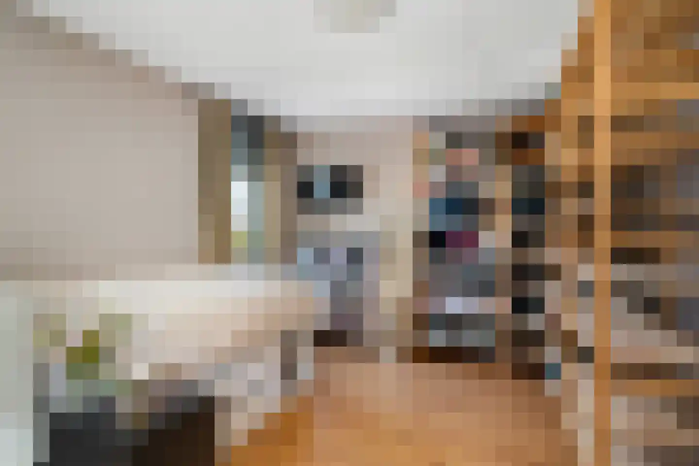 Wallsteijnpad 10 Spijkenisse thumbnail 29