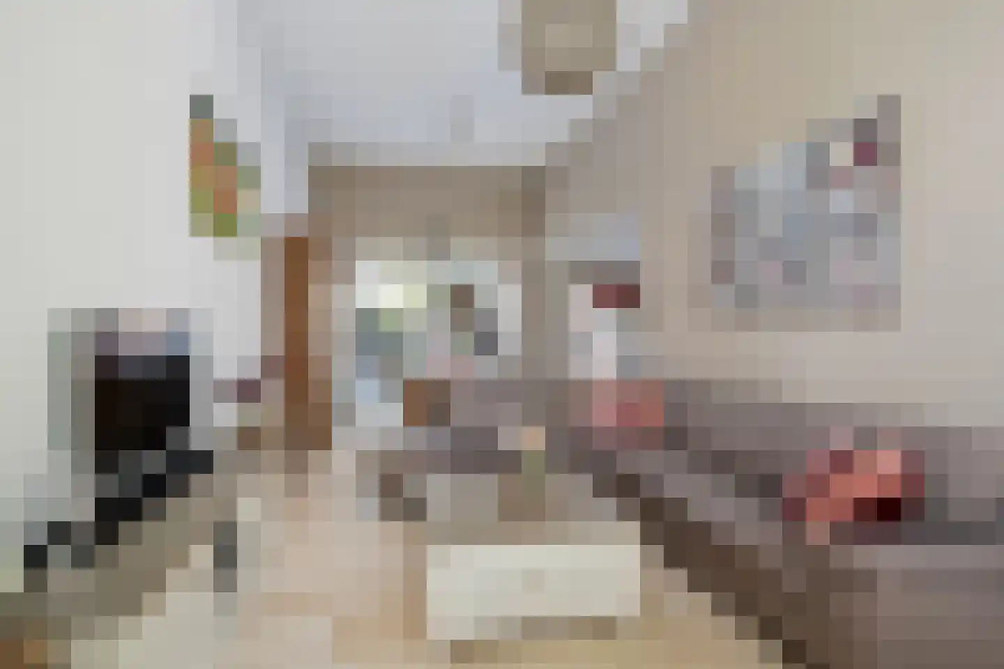 Wallsteijnpad 10 Spijkenisse thumbnail 4