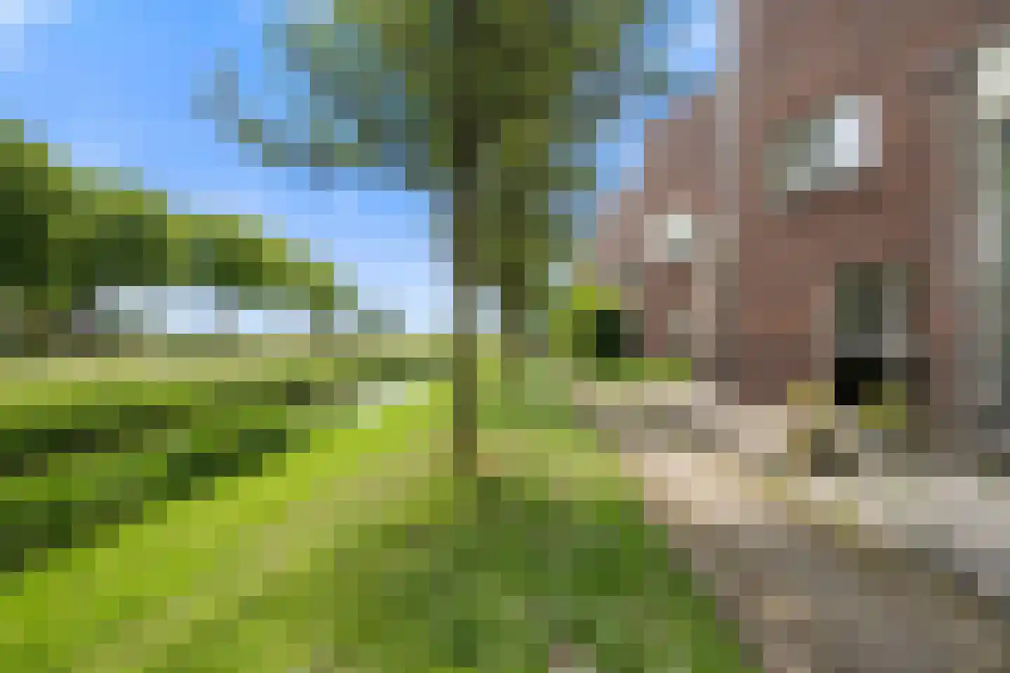Wallsteijnpad 10 Spijkenisse thumbnail 5