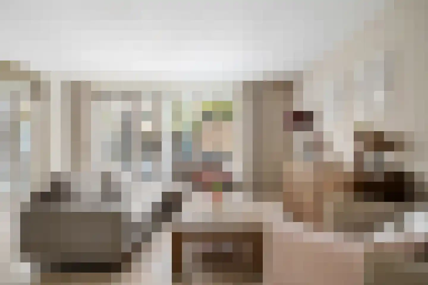 Wallsteijnpad 10 Spijkenisse thumbnail 9
