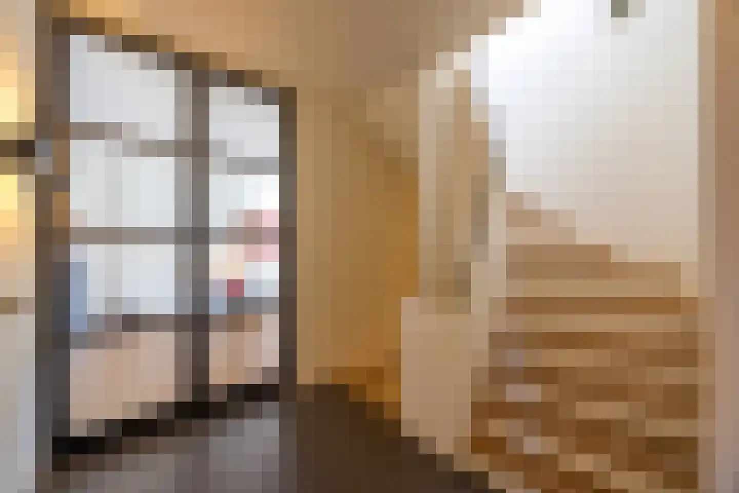 Wally Moesweg 10 Laren thumbnail 11