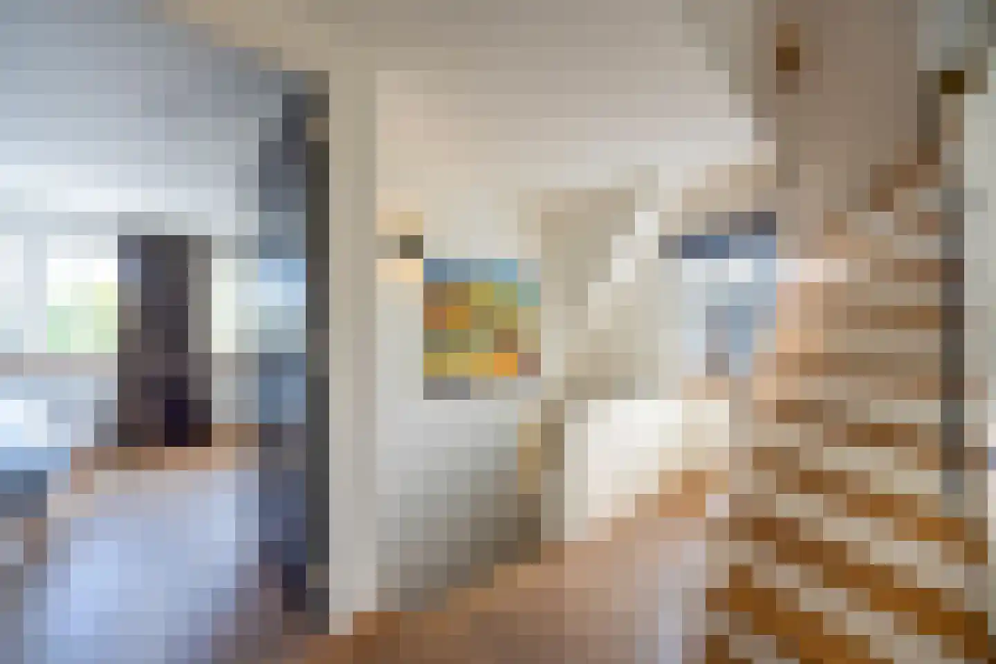 Wally Moesweg 10 Laren thumbnail 32