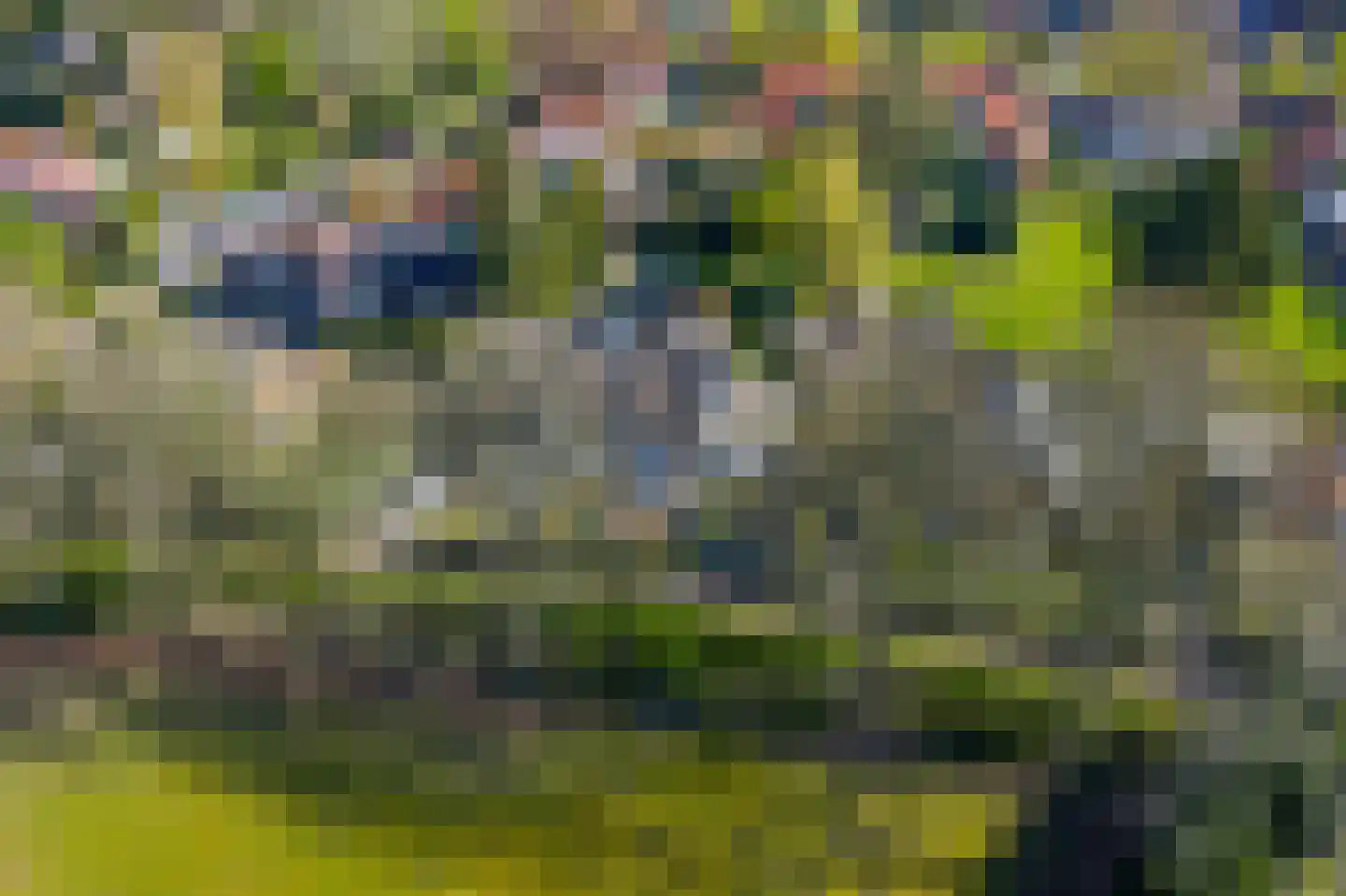 Wally Moesweg 10 Laren thumbnail 55