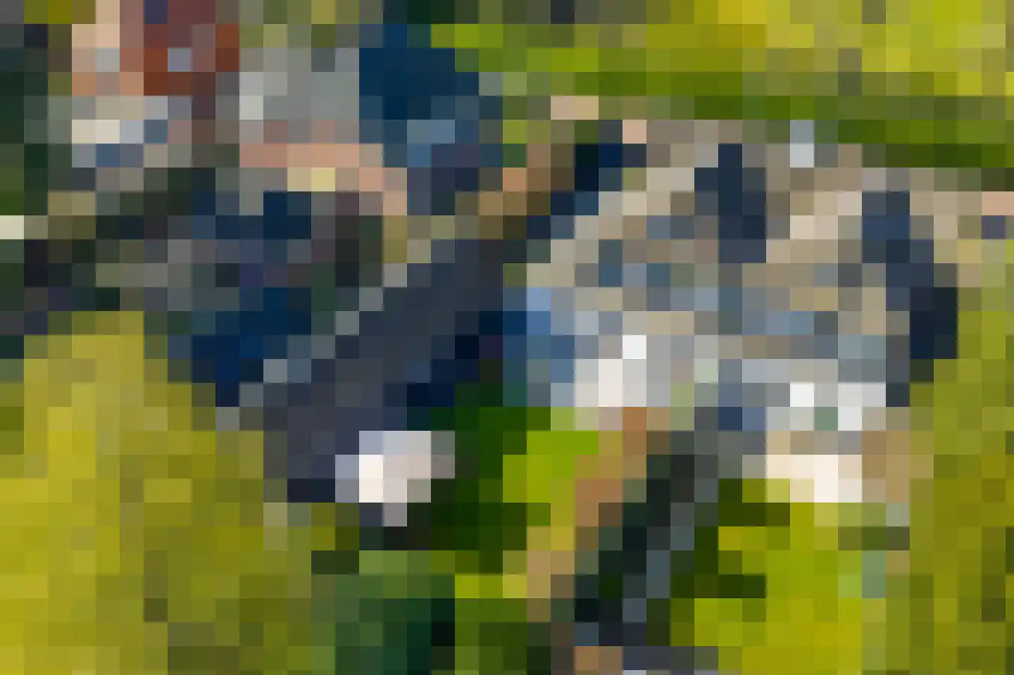 Wally Moesweg 10 Laren thumbnail 60