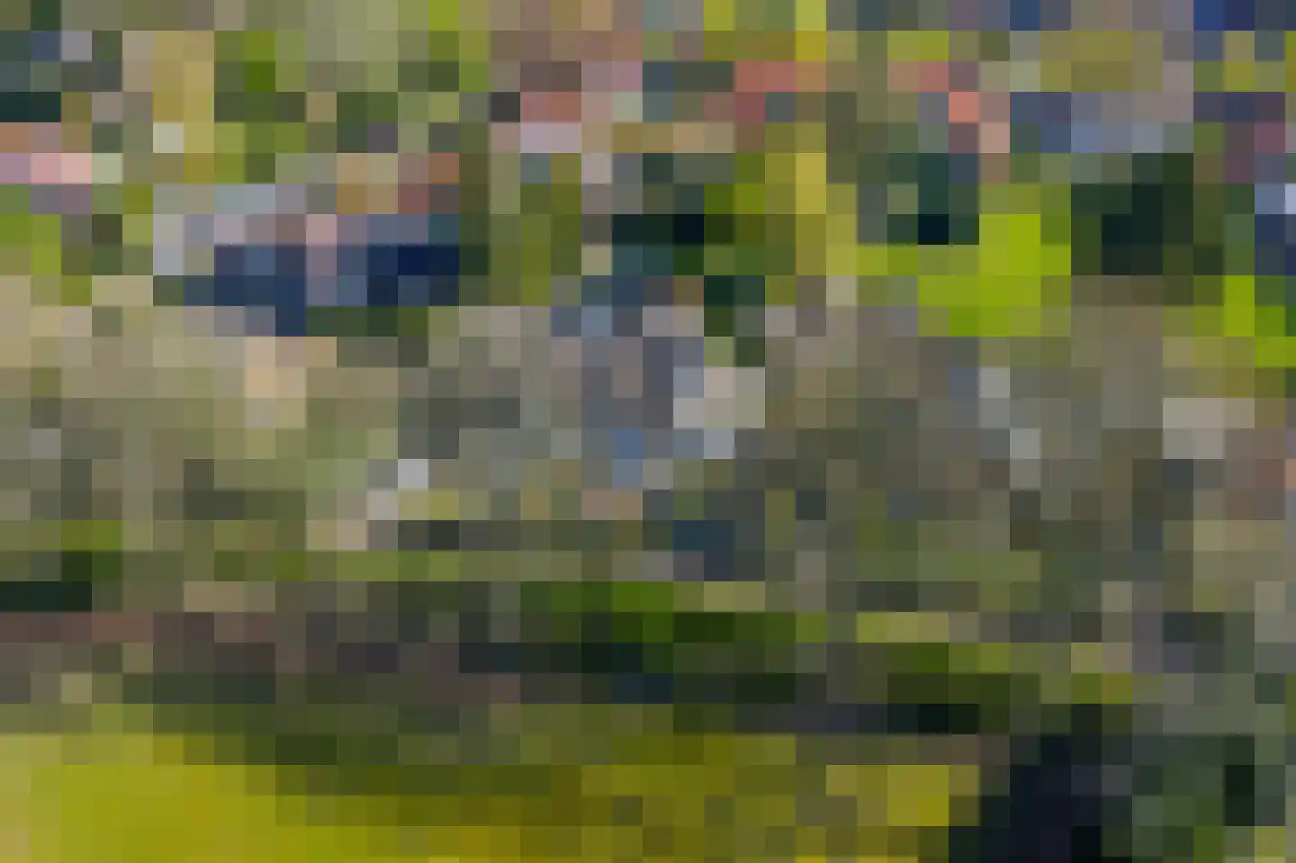 Wally Moesweg 10 Laren thumbnail 61