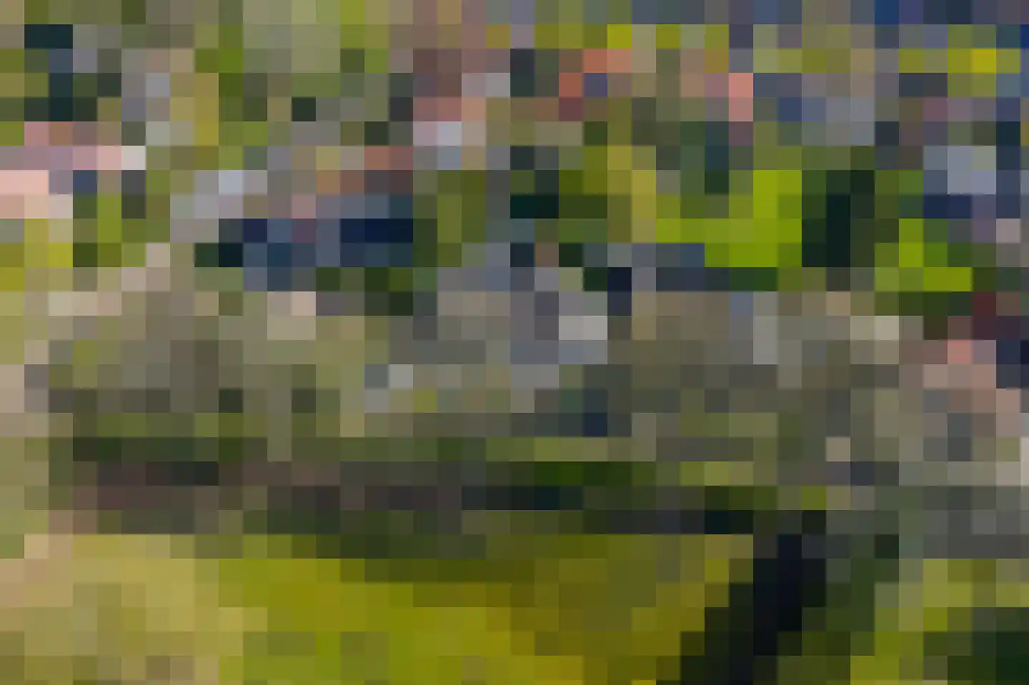 Wally Moesweg 10 Laren thumbnail 8