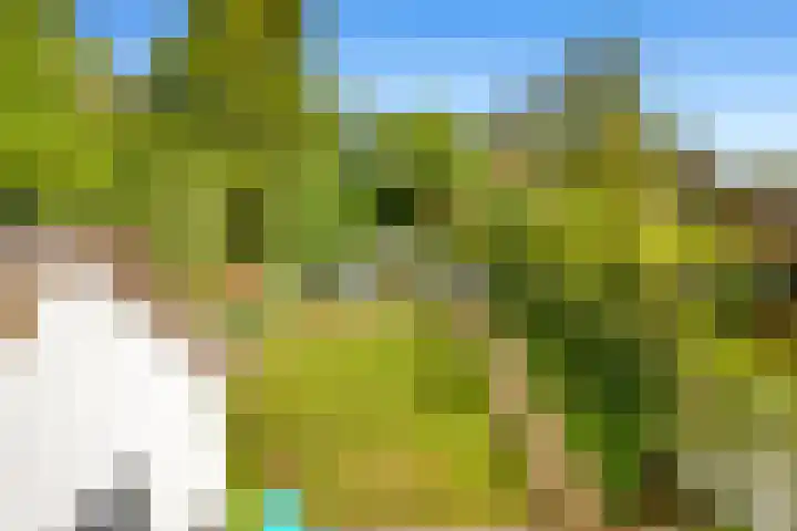 Wally Moesweg 12 Laren thumbnail 11