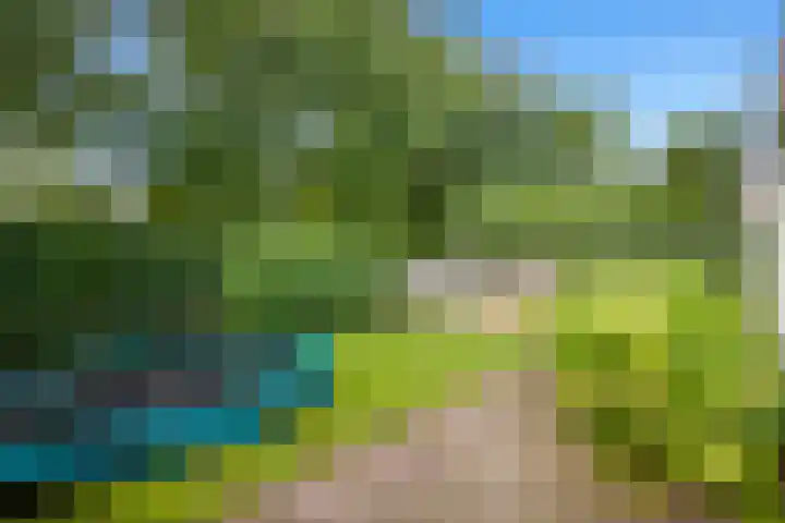 Wally Moesweg 12 Laren thumbnail 5