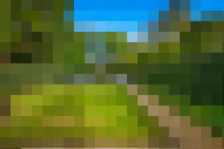 Wally Moesweg 12 Laren thumbnail 8
