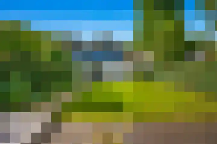 Wally Moesweg 12 Laren thumbnail 9