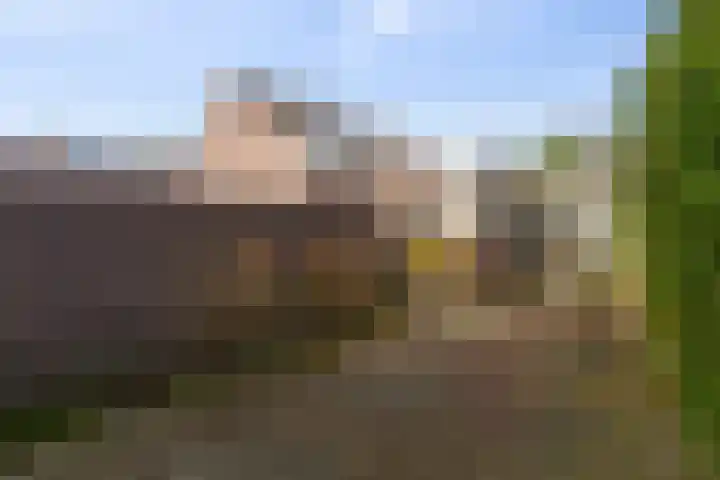 Walmolen 15 Vianen thumbnail 22