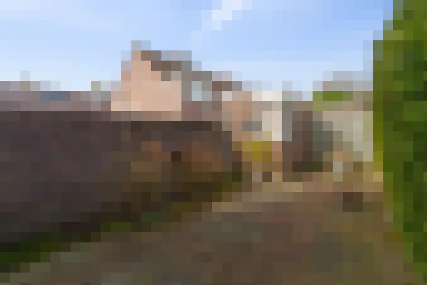 Walmolen 15 Vianen thumbnail 22