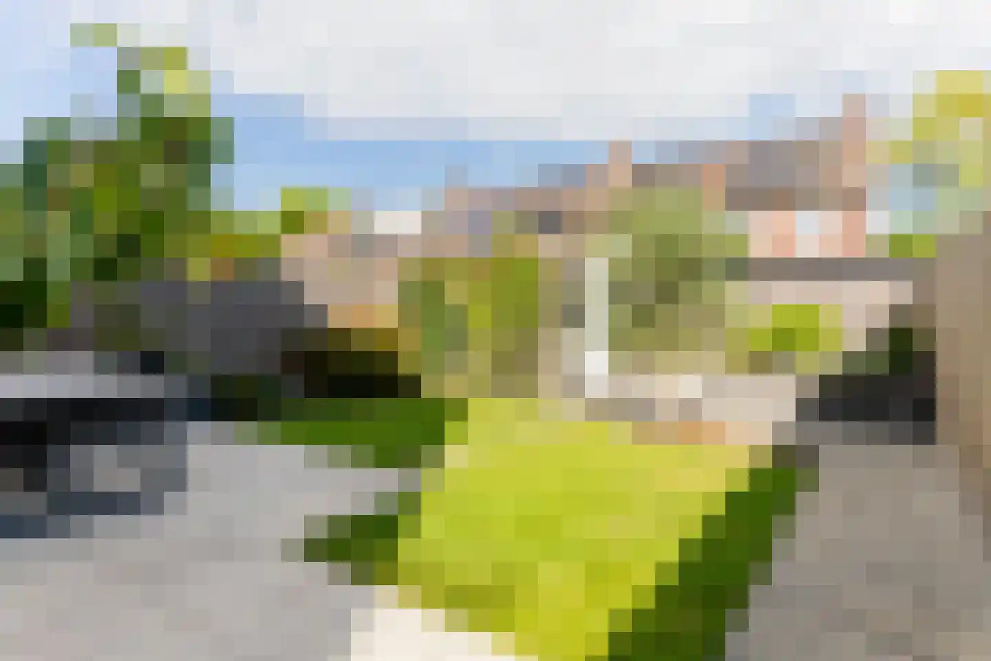 Walmolen 2 Barendrecht thumbnail 33