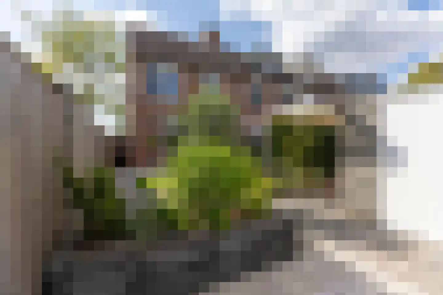 Walmolen 2 Barendrecht thumbnail 38