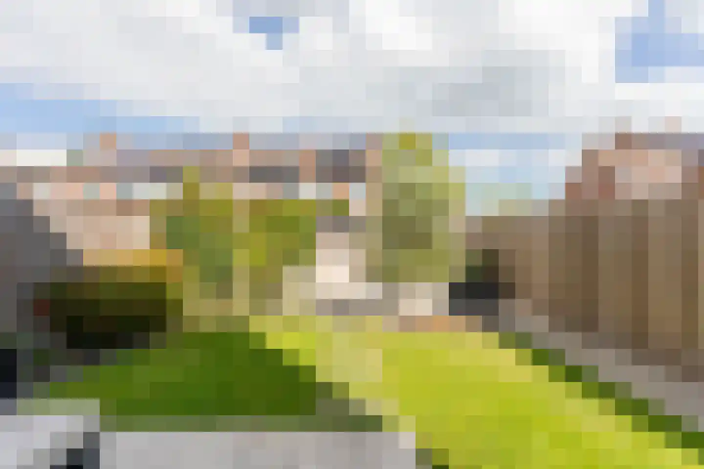Walmolen 2 Barendrecht thumbnail 4