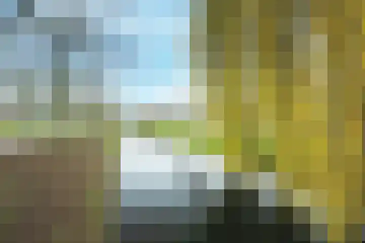 Walmolen 22 Barendrecht thumbnail 32
