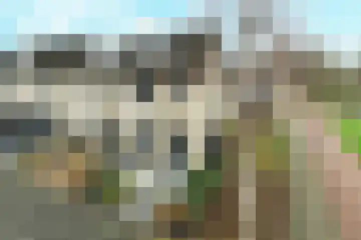 Walmolen 22 Barendrecht thumbnail 7