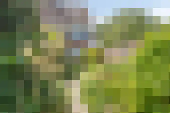 Walmolen 29 Alkmaar thumbnail 13