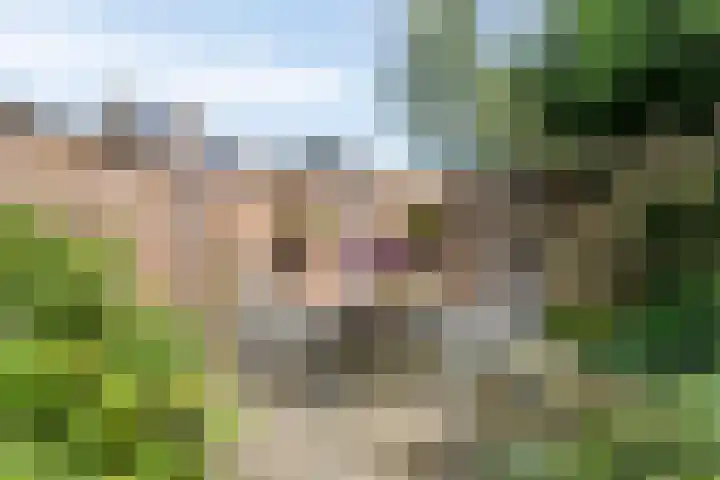Walmolen 29 Alkmaar thumbnail 14