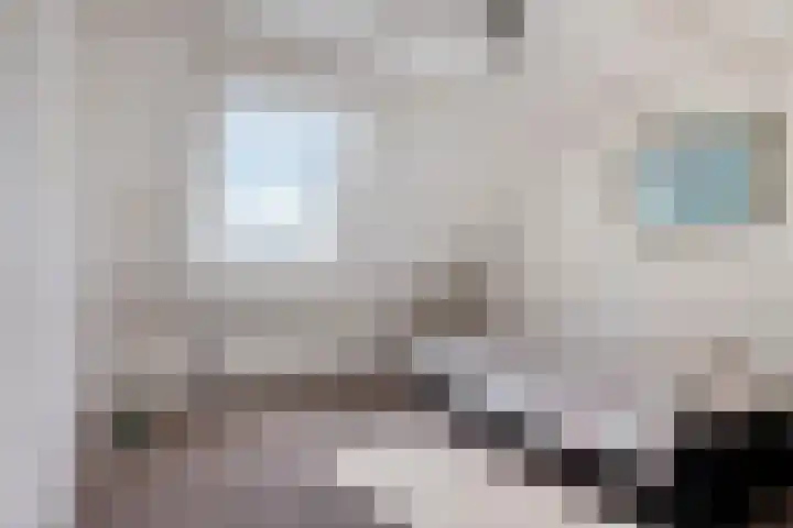 Walmolen 29 Alkmaar thumbnail 23