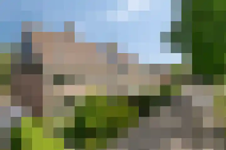 Walmolen 29 Alkmaar thumbnail 25