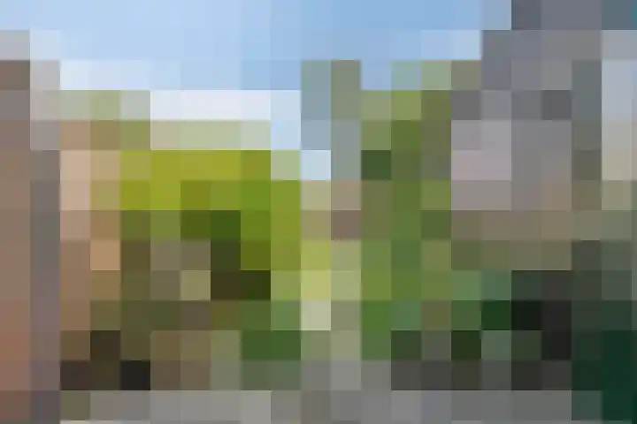 Walmolen 29 Alkmaar thumbnail 27
