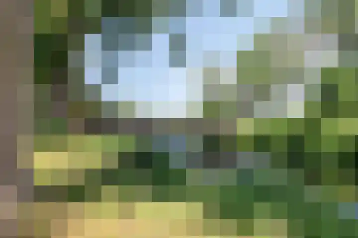 Walmolen 29 Alkmaar thumbnail 28