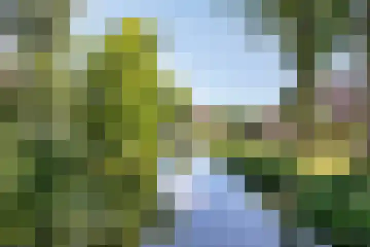 Walmolen 29 Alkmaar thumbnail 29