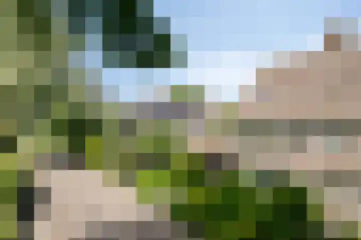 Walmolen 29 Alkmaar thumbnail 30
