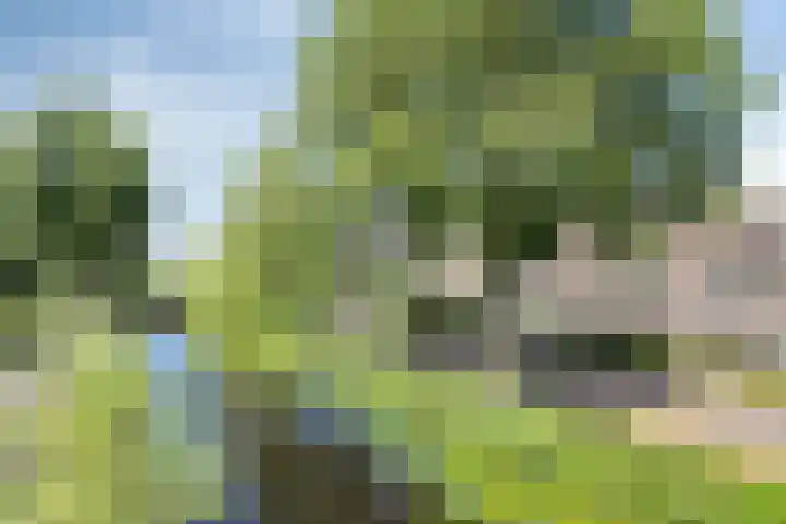 Walmolen 29 Alkmaar thumbnail 31