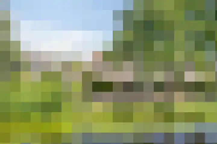 Walmolen 29 Alkmaar thumbnail 32