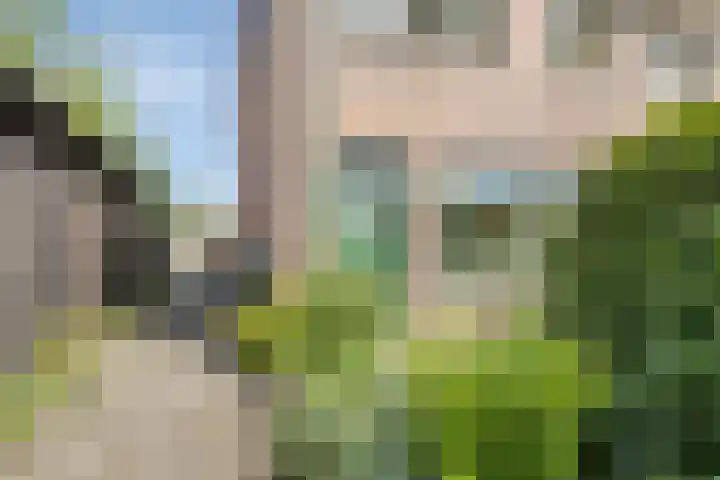 Walmolen 29 Alkmaar thumbnail 5