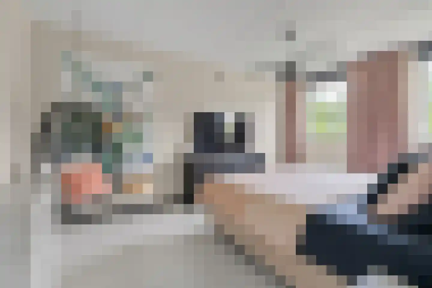 Walmolen 35 Vianen thumbnail 12