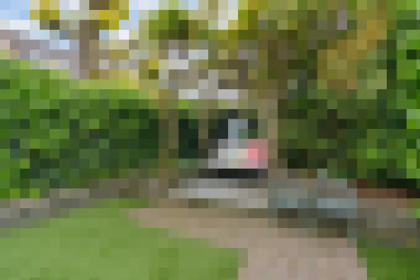 Walmolen 35 Vianen thumbnail 27
