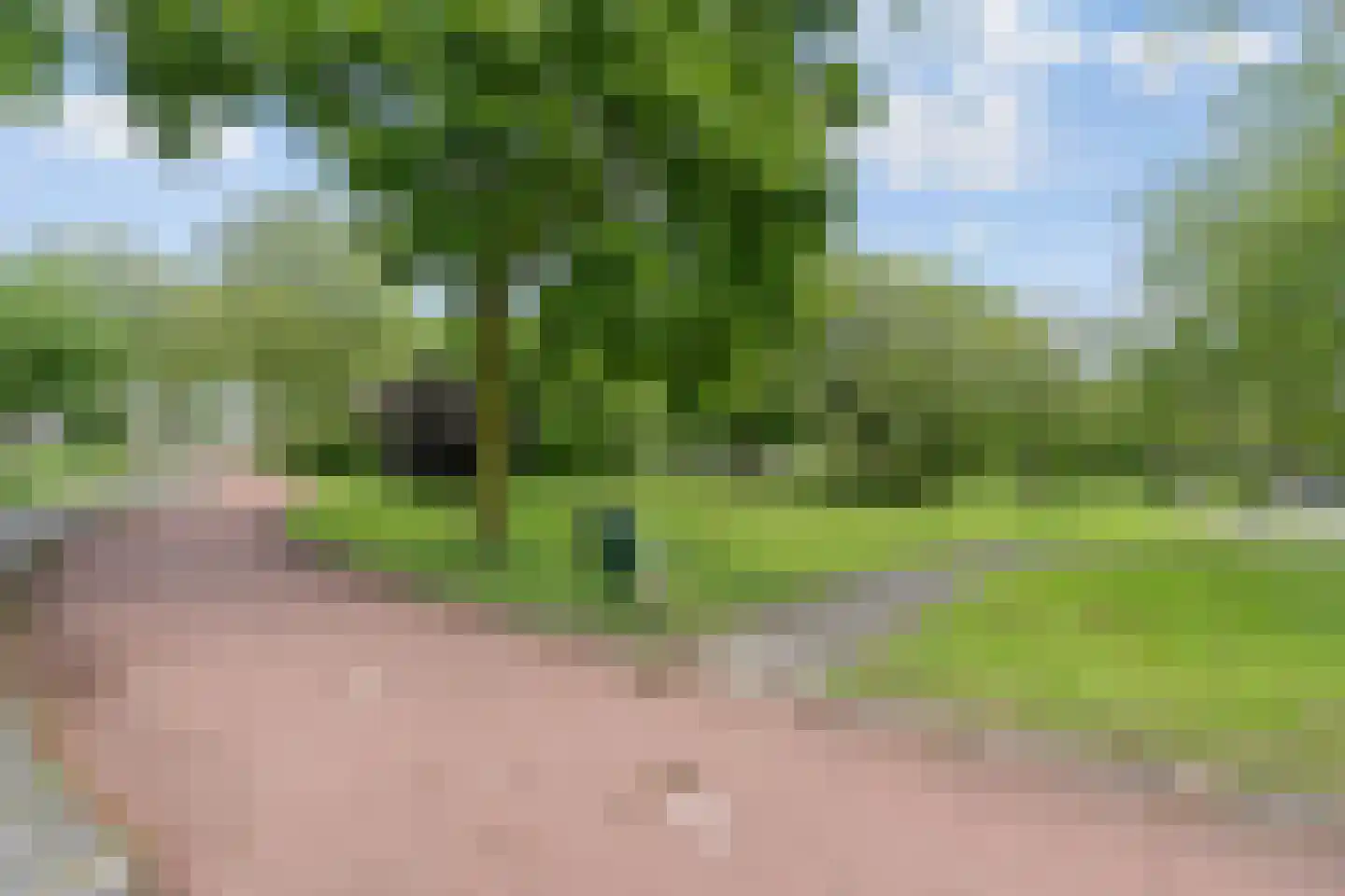 Walmolen 35 Vianen thumbnail 32