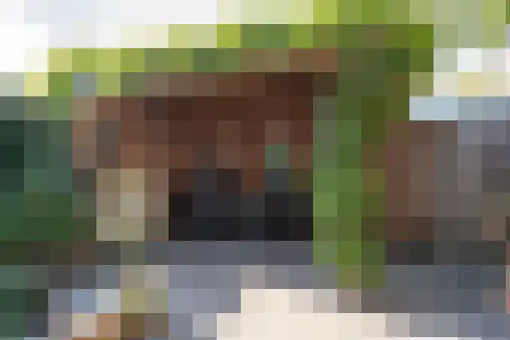 Walmolen 52 Papendrecht thumbnail 4