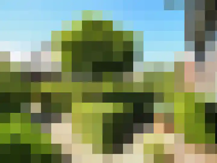 Walmolen 55 Papendrecht thumbnail 4