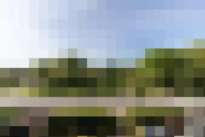 Walmolen 60 Papendrecht thumbnail 24