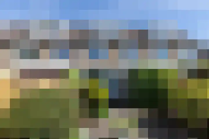 Walmolen 60 Papendrecht thumbnail 29