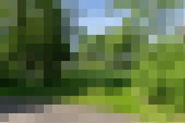 Walmolen 60 Papendrecht thumbnail 31