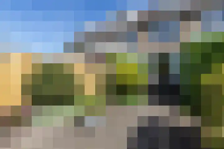 Walmolen 60 Papendrecht thumbnail 4