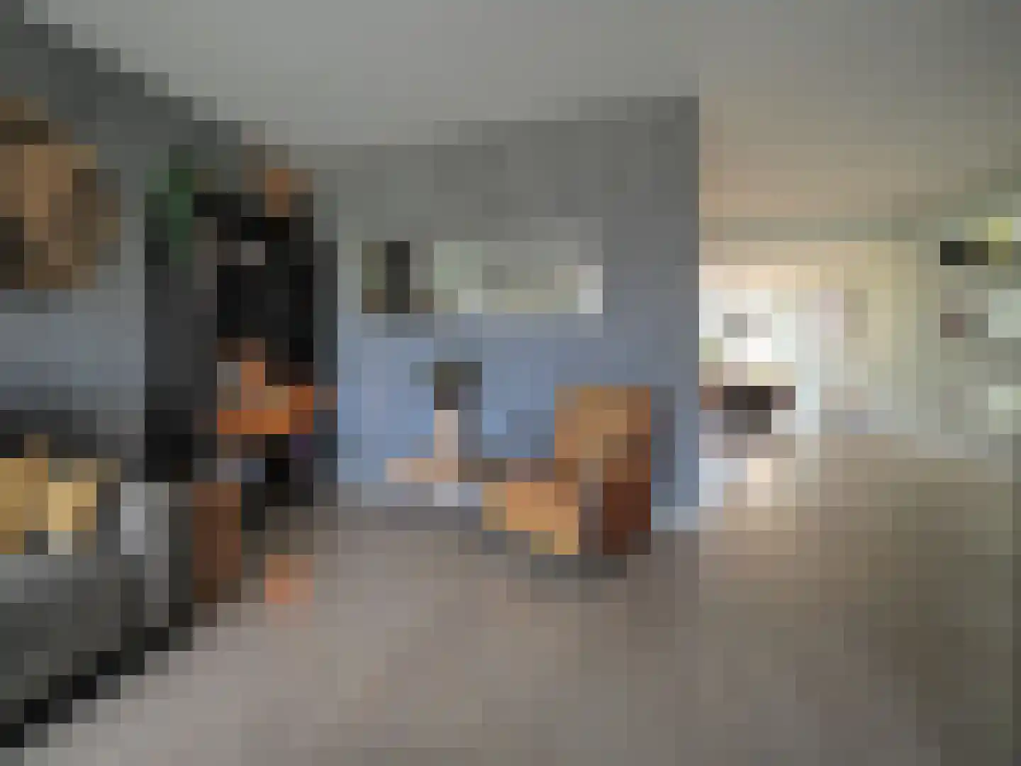 Walmolen 7 Papendrecht thumbnail 17
